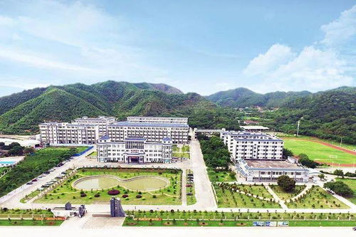 阳江市2020年 十项十大文明 评选结果揭晓 看看有没有你认识的
